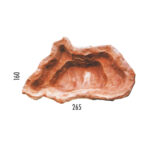 Laghetto Alleghe - immagine 3