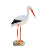 Cicogna bianca