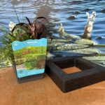 Isola Galleggiante con Piante Acquatiche Purificanti - immagine 8