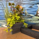 Isola Galleggiante con Piante Acquatiche Purificanti - immagine 4