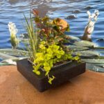 Isola Galleggiante con Piante Acquatiche Purificanti - immagine 2